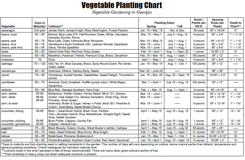 Georgia Vegetable Planting Chart